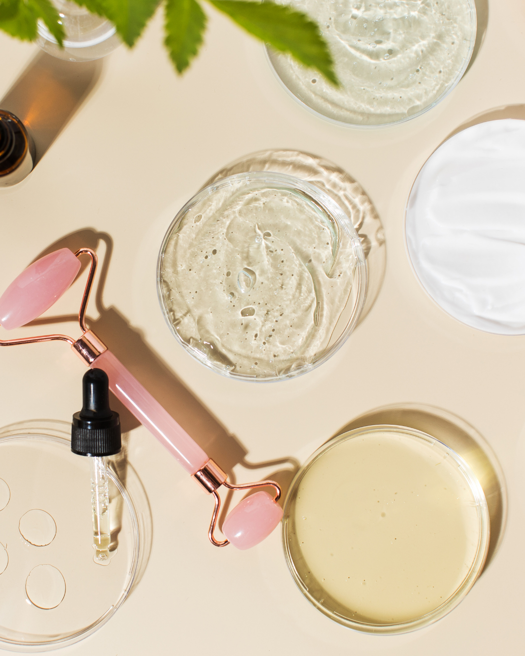 Cosmeceutica Shanys